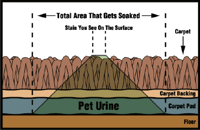 Pet Urine Spreading Diagram